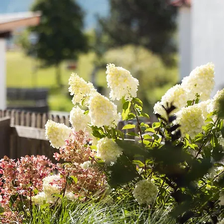 Haus Kristall Inkl Der Super Sommer Card Im Sommer 2025 * Serfaus