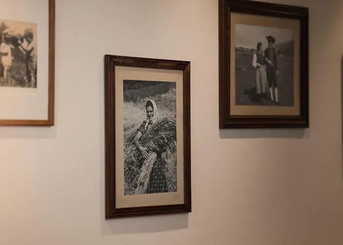 Haus Kristall Inkl Der Super Sommer Card Im Sommer 2026 公寓