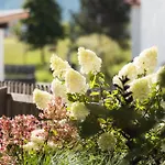 Haus Kristall Inkl Der Super Sommer Card Im Sommer 2026 * Serfaus